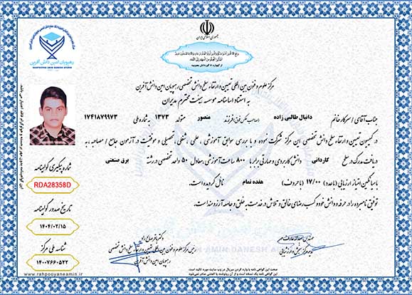 دانیال طالبی زاده در سطح