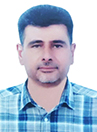 حمید محسنی وفا