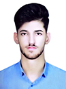 فرید کیانی