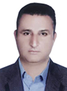 رضا حلفی