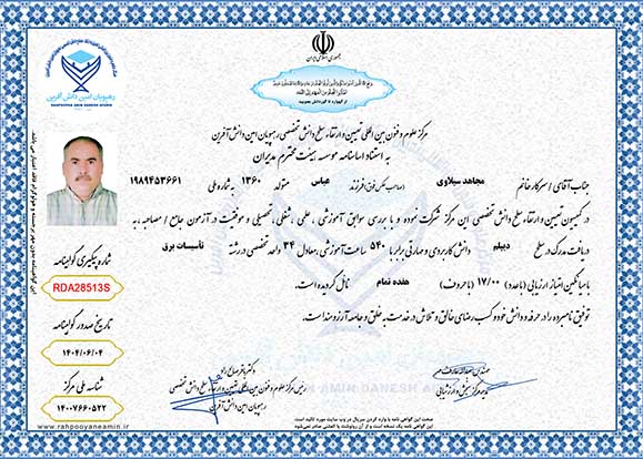 مجاهد سیلاوی در سطح